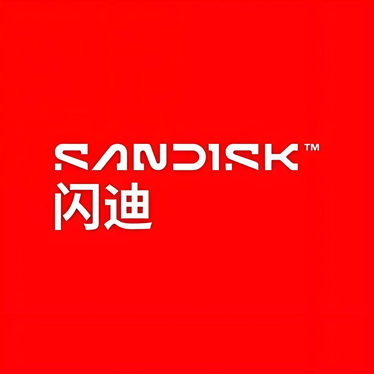 【闪迪CTO称“拼内存”时代开启】近日，闪迪首席技术官阿尔珀·伊尔克巴哈尔表示，