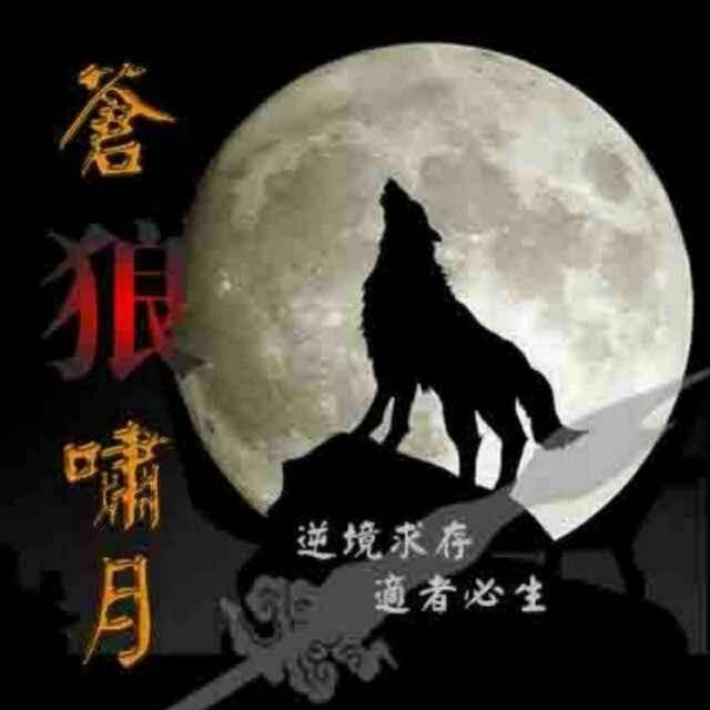 这个苍狼啸月，不仅批判了薛剑领事，说他"搞打打杀杀"，怕影响国家关系。

后来看