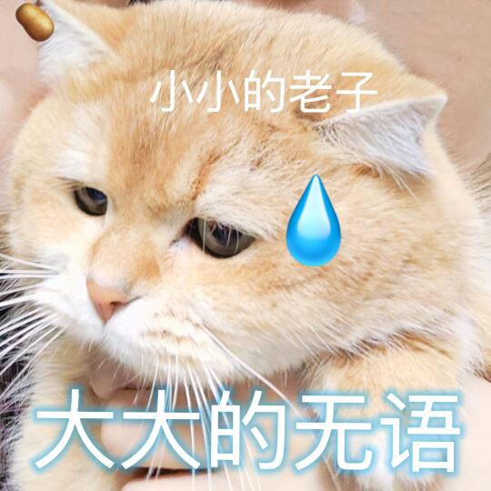 土豆表情包｜小小的老子 大大的无语