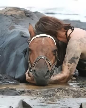 在澳大利亚吉朗，一位名叫妮可·格雷厄姆的女子成为了英雄。她花了近三个小时托着爱马
