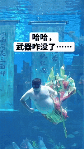 “笑痛我肚子了”

这条美人鱼好肥啊！

大叉子还会飞。

网友A：是不是要产卵