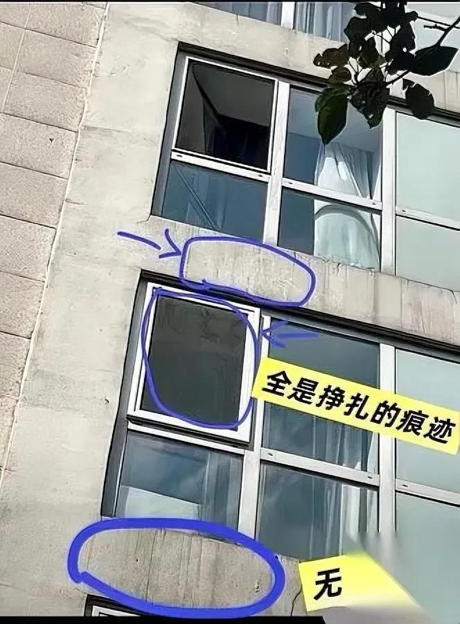 两块劳力士，最近快把我熬疯了。

不是因为贵，是它俩身上的问号太扎人。

有人说