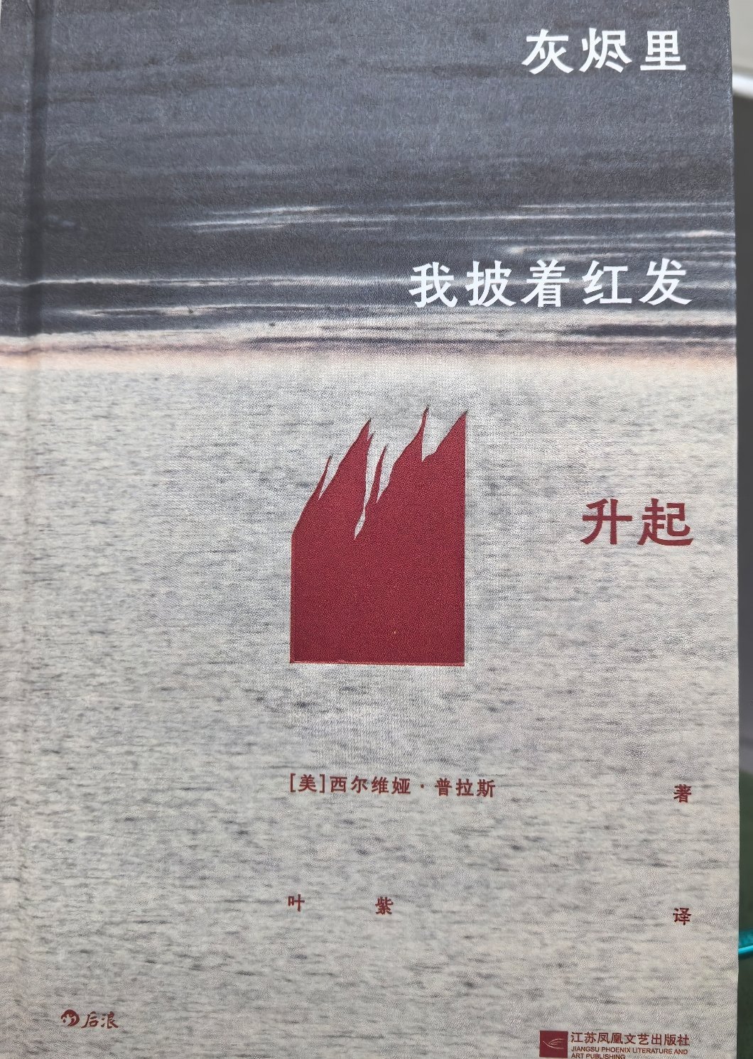 第41本：《灰烬里我披着红发升起》普拉斯是位死而复生的女巫。她的诗歌对我来说挺难