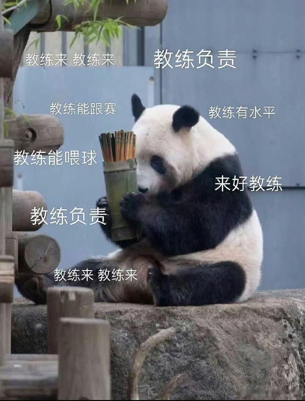 中国乒协确认国家队教练员名单给王曼昱接一心一意的好教练