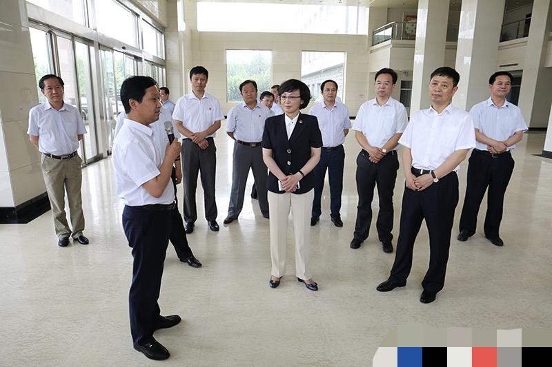 从村团支部书记起步，她一路干到河南省委副秘书长（正厅级）。退休4年后的张春香再次