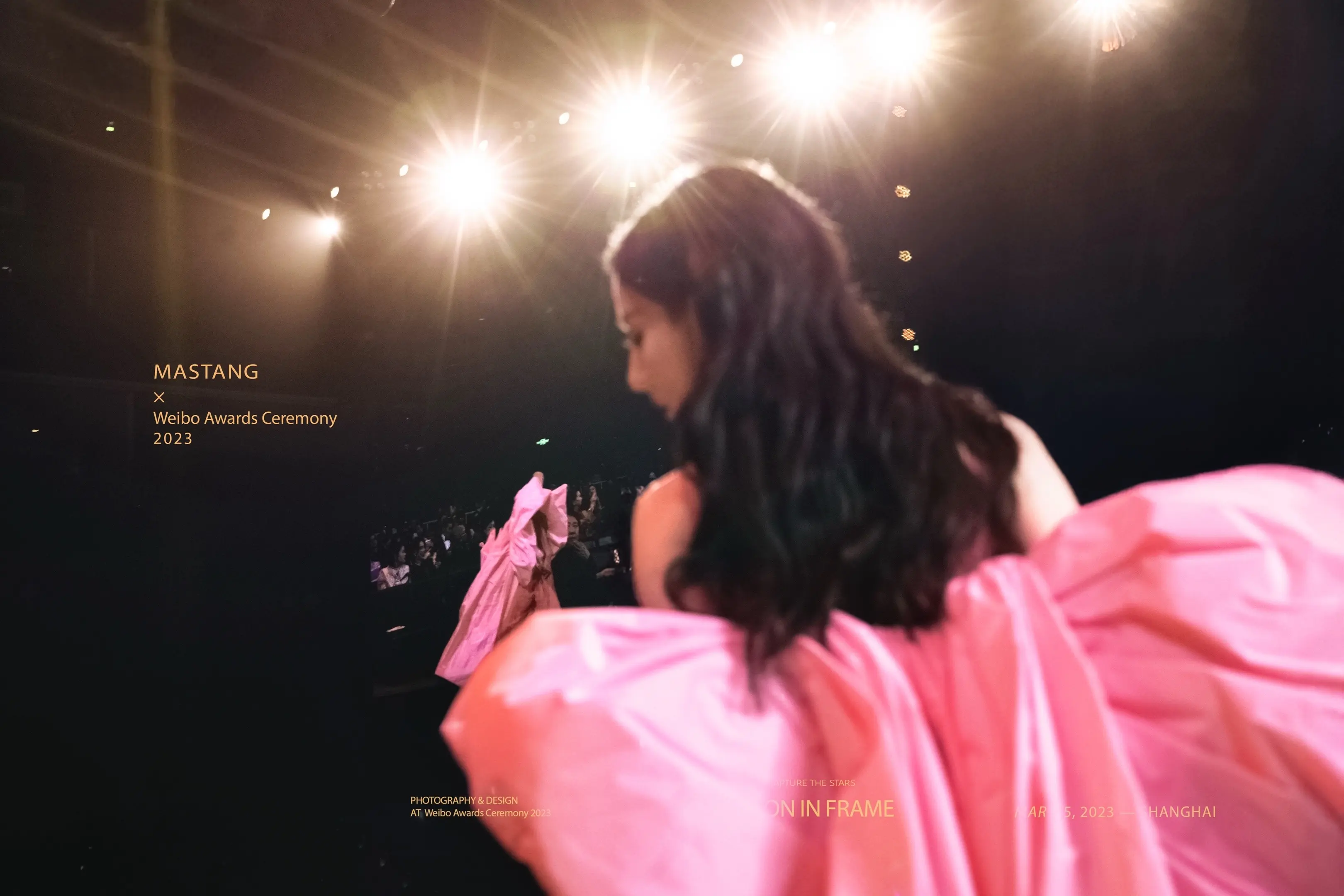 永远经典 伟大的粉红玛丽猫