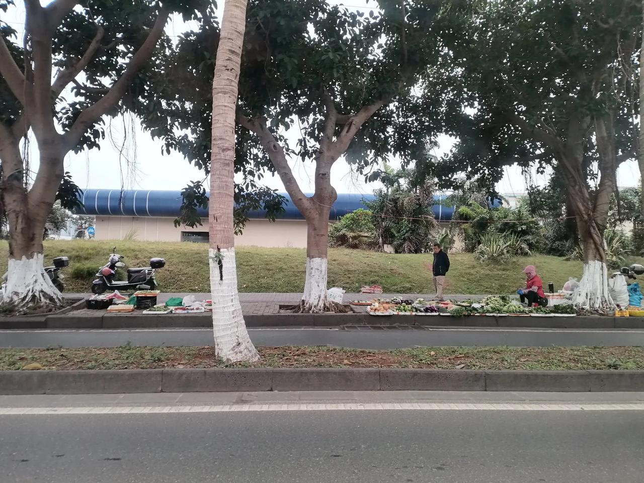 互不影响的情况下，我觉得这样蛮好，都是为了生活，不必计较太多，希望海口一直这样温