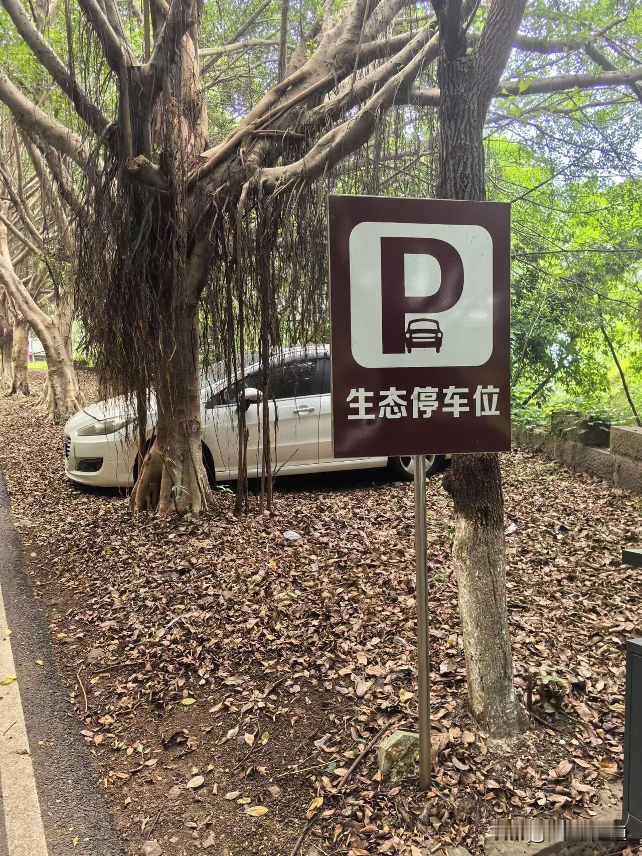 宜宾某小区出现生态停车位！这个停车位确实环保生态