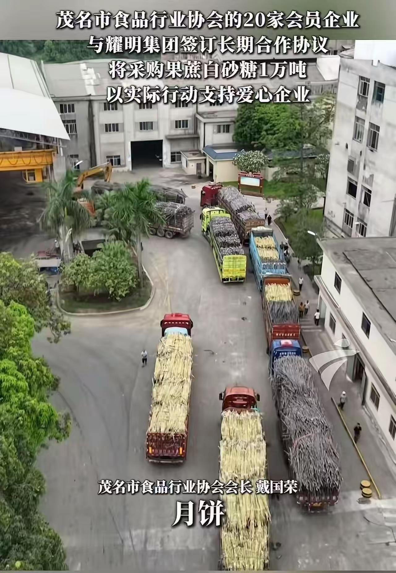 一万吨白糖！我们必须帮忙清掉！”一声令下，广东茂名一群食品厂老板，连价格都没问，