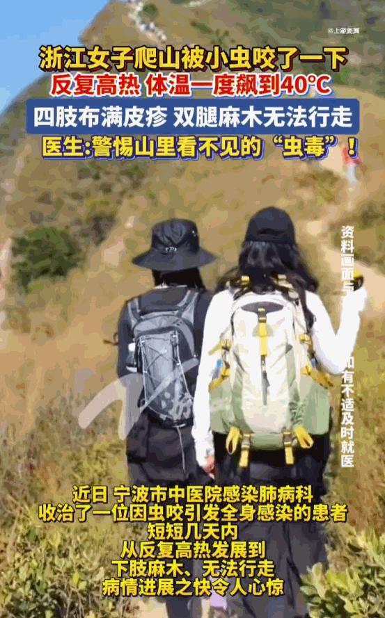 这谁能想象的到！浙江宁波，一女子就因为进山徒步被一只不起眼的小虫子叮了一口，起初