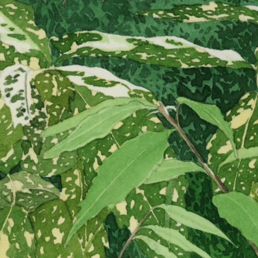 🌳Younggeun Byun 盛夏壁纸大放送动漫仲夏狂欢季 ​​​