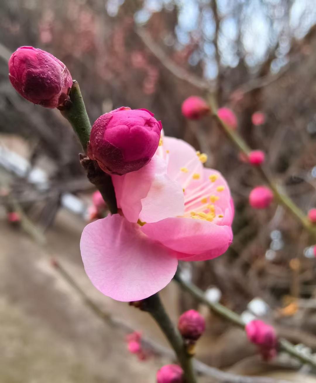 


血压达标就停药？小心！这些误区，千万别中招