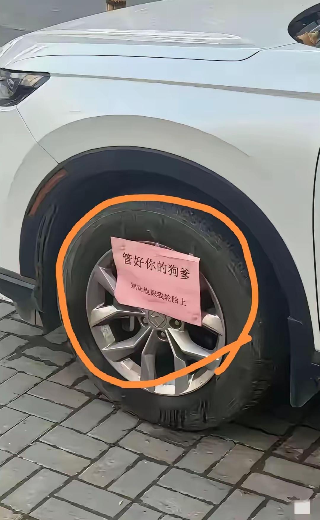 狗爹说了：
人性不改，狗性难物。
人狗共市，皆按动物论：

第二次发现一个纸条写
