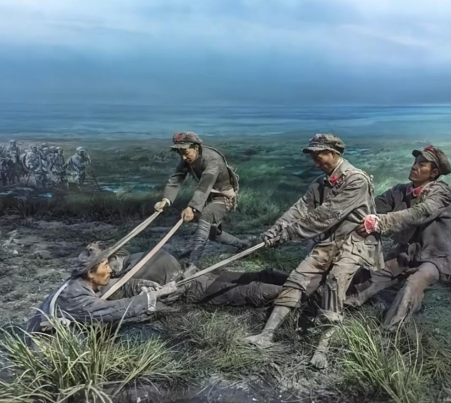 草地上