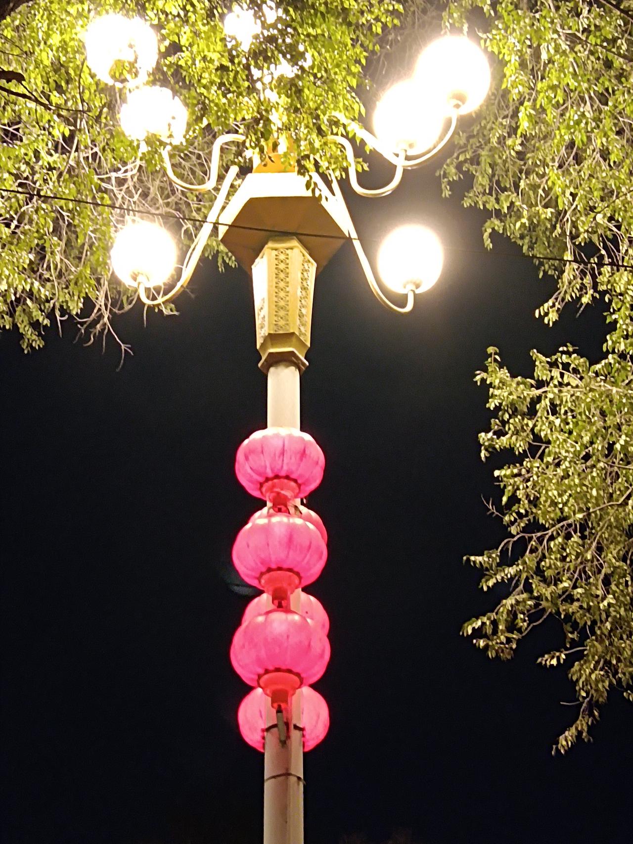 一个人最大的无知是什么?
自以为是。既看不见自身局限，也听不进不同声音。