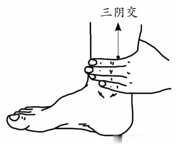女人养生穴三阴交三阴交，在足太阴脾经、足少阴肾经、足厥阴肝经交会之处。很多女性朋