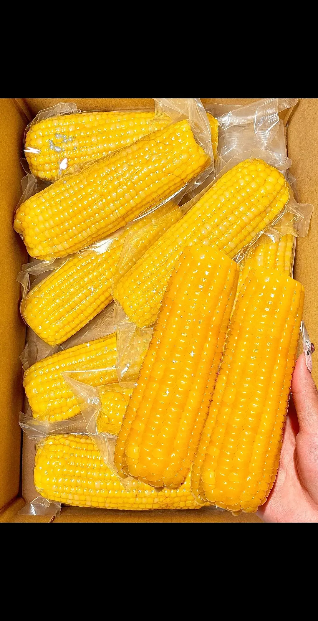 家人们， 推荐一款新品黄糯玉米， 糯叽叽的还能拉丝糯香甜， 优质糯玉米...