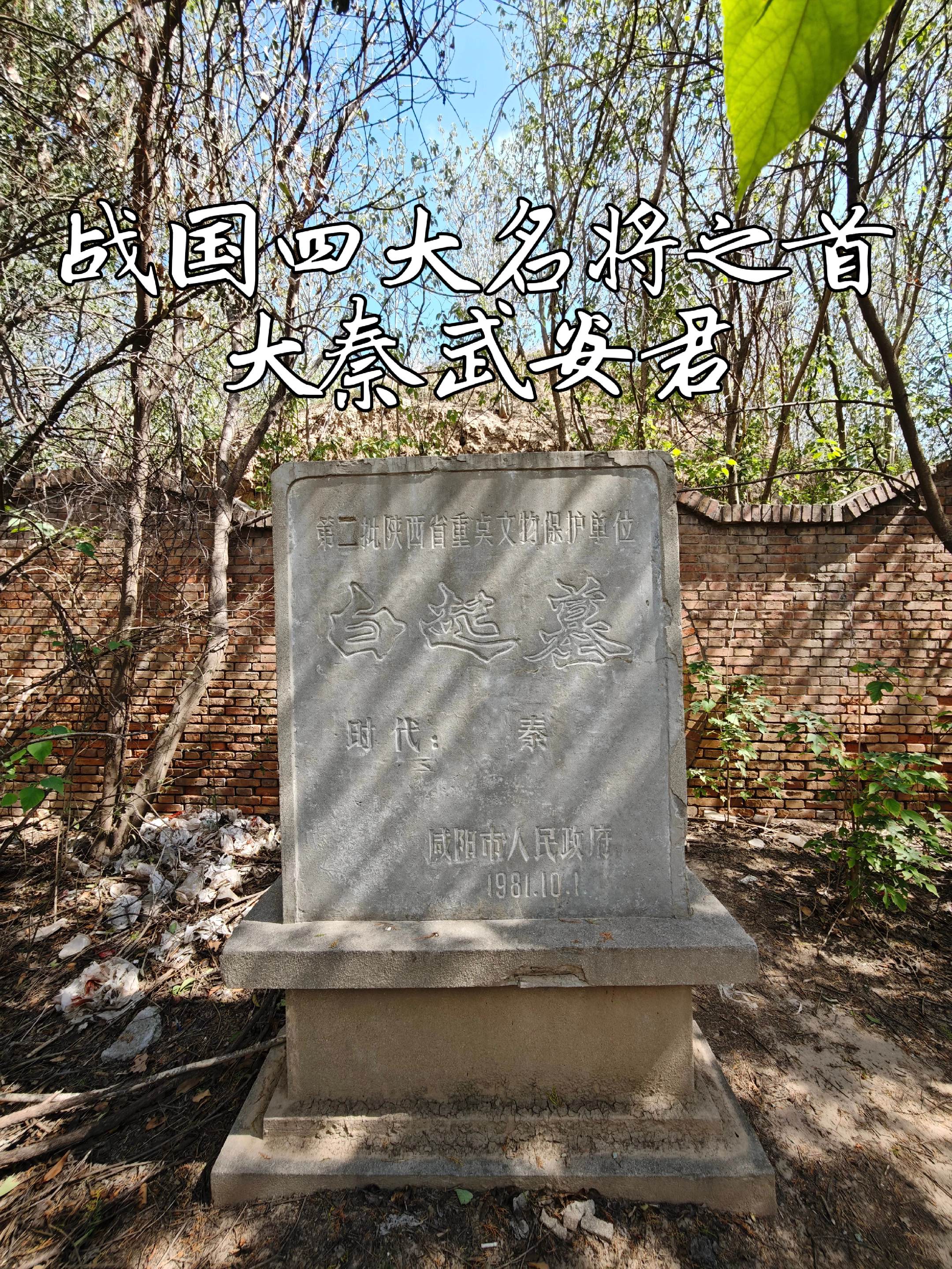 大秦武安君战神·白起墓。位置在咸阳城东郊，渭河北岸任家咀，秦时此地称杜...