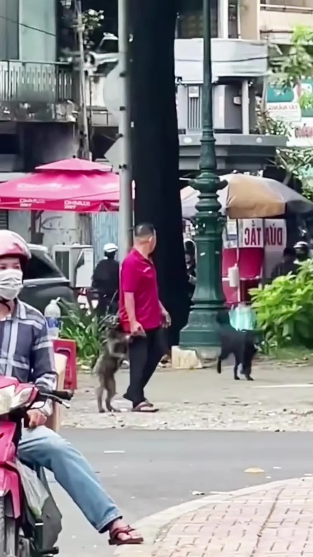 狗狗过马路都有人牵，牵你的人在哪