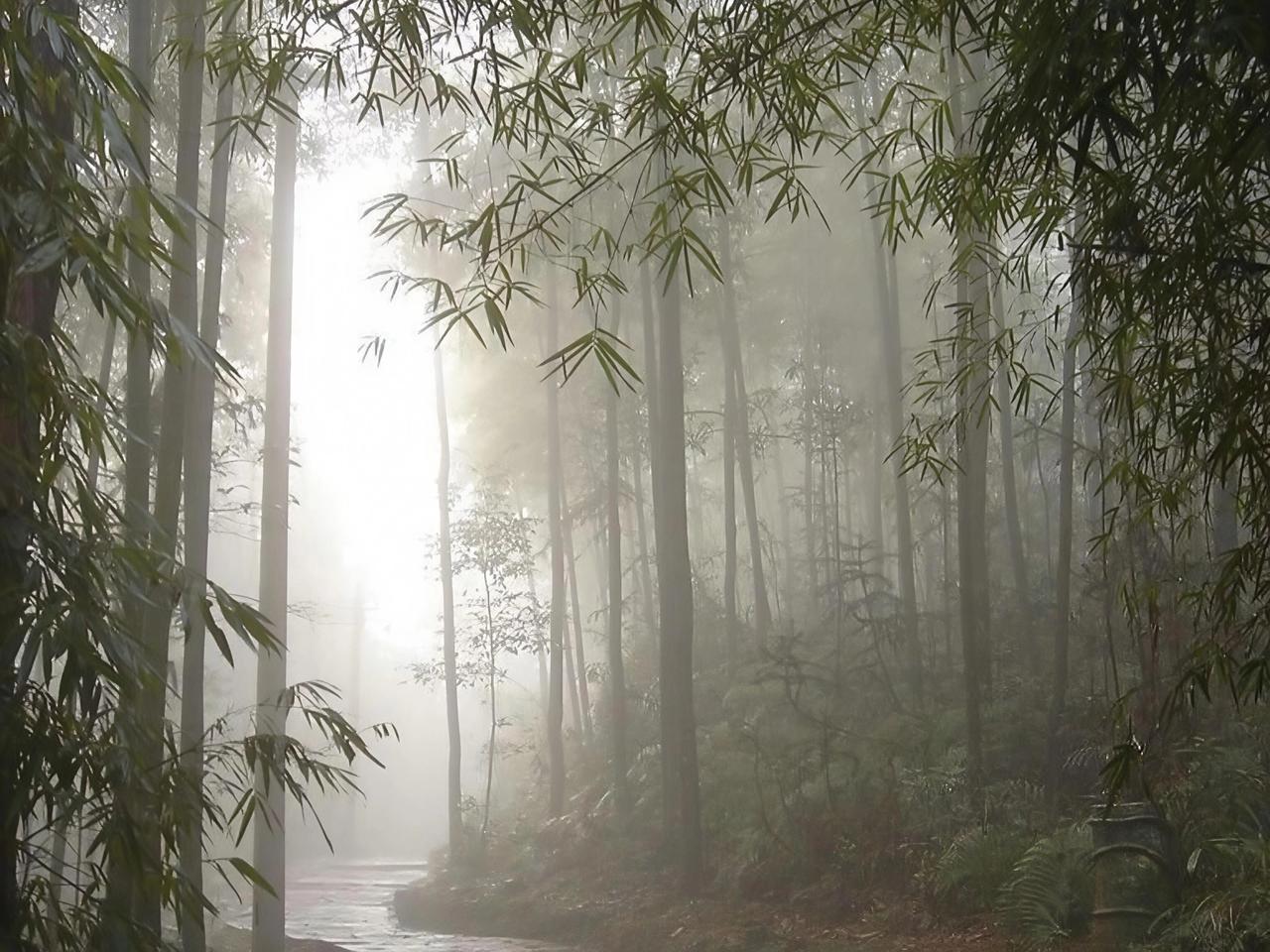 今日感悟
暮春细雨如大自然温柔之手，轻抚每一寸土地。雨滴“滴答滴答”落下，奏响生