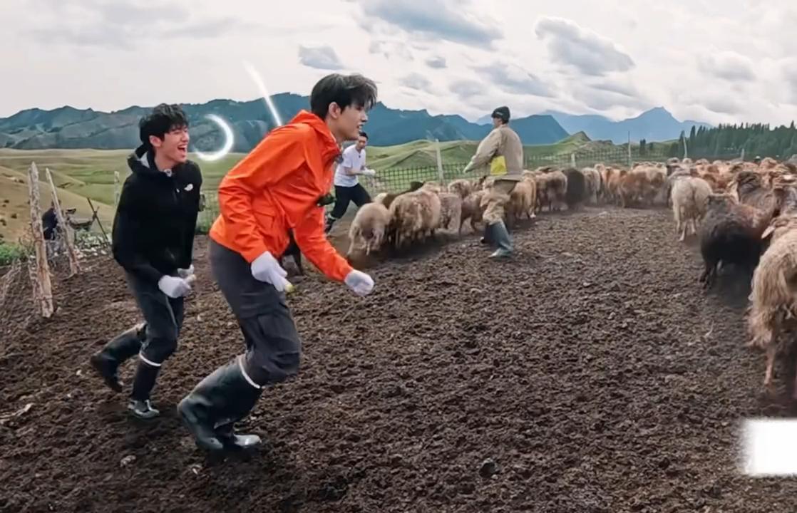 朱志鑫脚痛张极膝盖痛朱志鑫输出全靠吼谁被这俩少年可爱到！朱志鑫脚痛、张极膝盖痛，