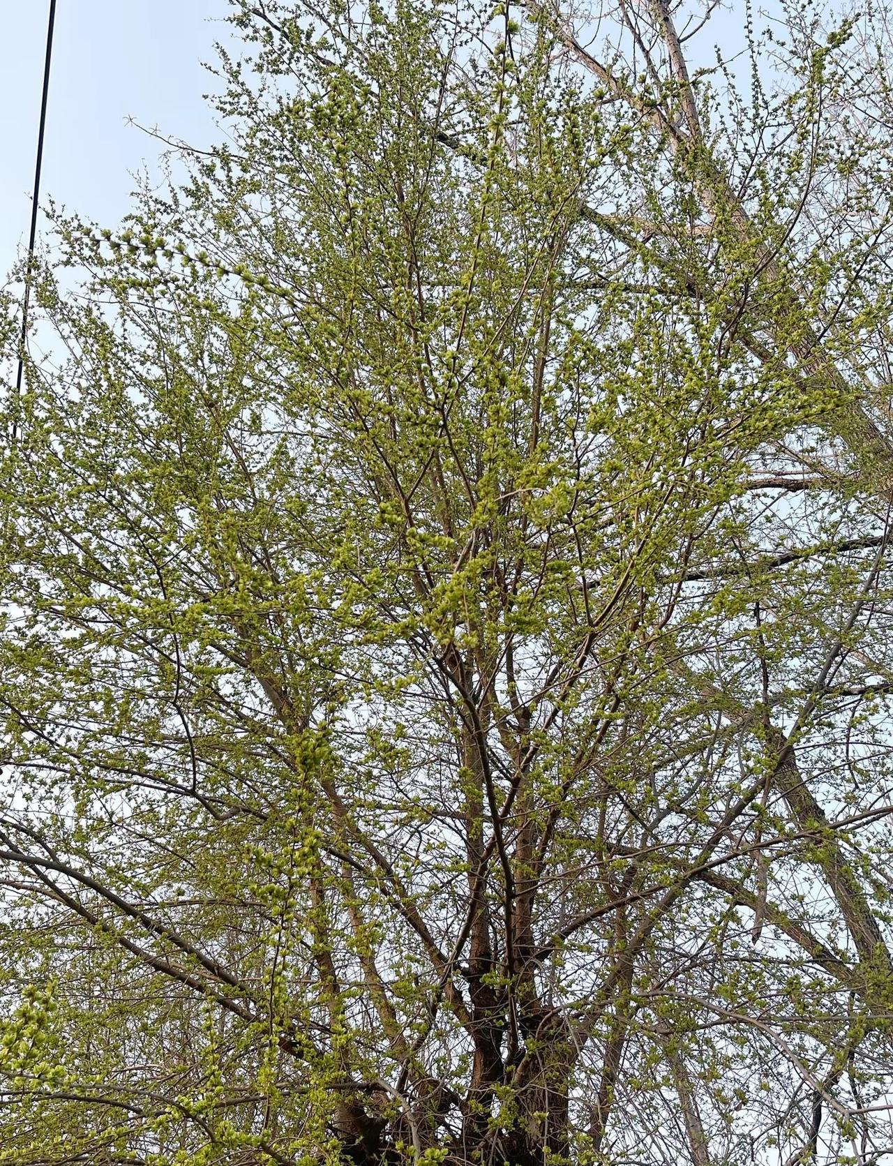 招了魔受了症咋治吧，做自己喜欢的事，少抱怨，少接触