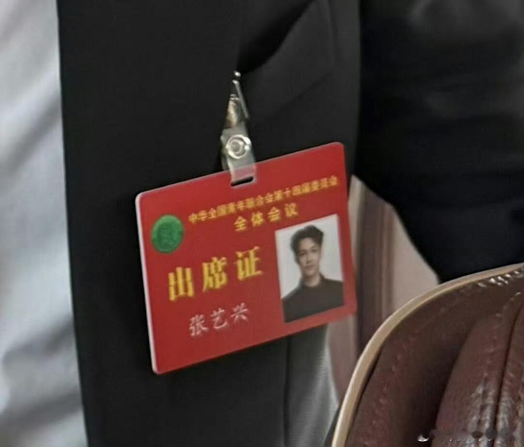 多才多艺的体制内男友昨天，张艺兴去人民大会堂开会了。参加了中华全国青年联合会第十