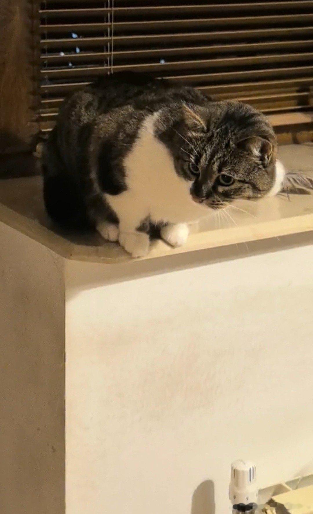 我的欧洲小伙伴因为生意往来，现在每几个月都要来中国一次，每次都带一大堆中国货回去