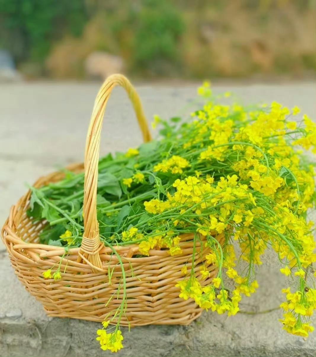 “  正月初七 · 万事可期 ...  ” ​ ​​​
传统文化 摄影 祝福