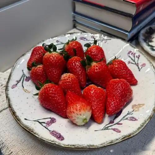 阳光，美食与酒都不可辜负生活碎片