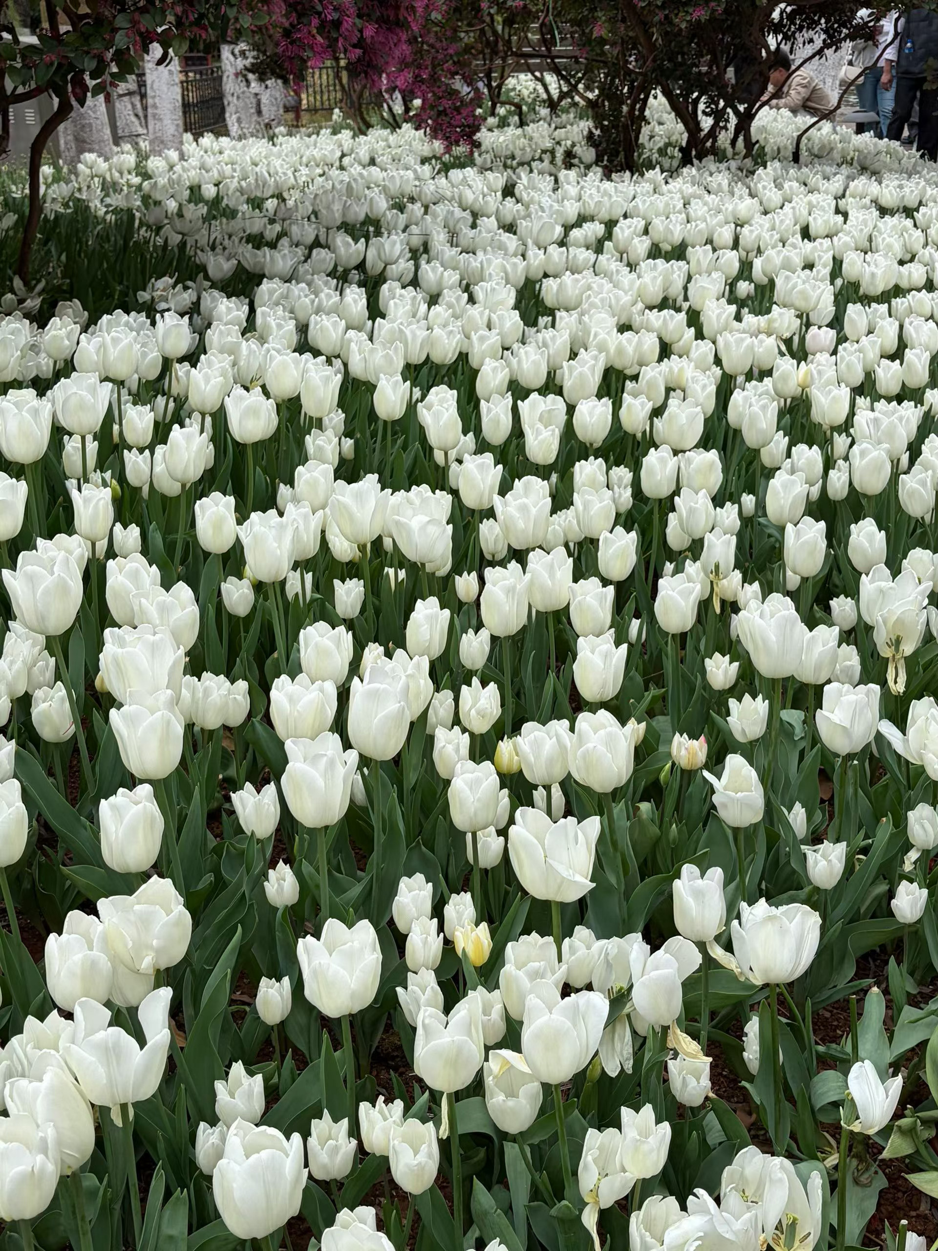 微博年度待改编ip评选pick你心中的改编潜力王 心之所安，便是吾乡入秋后的夜晚