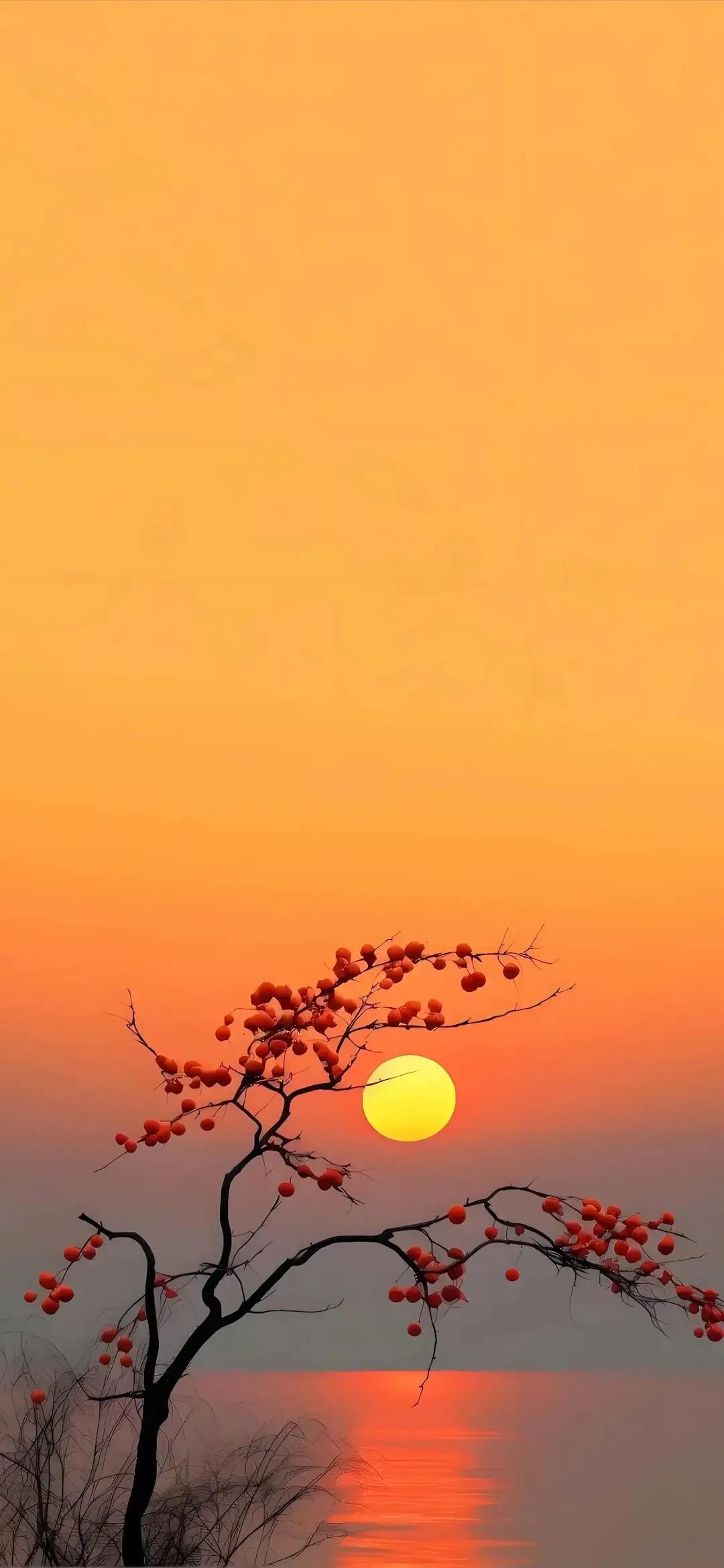 心态好的人，都 quietly 活在这三重境界里
人这一辈子，过得舒不舒服，全看