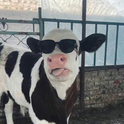 牛奶包装已经nextlevel了救命！现在的牛奶包装都这么会整活吗？新年限定的“