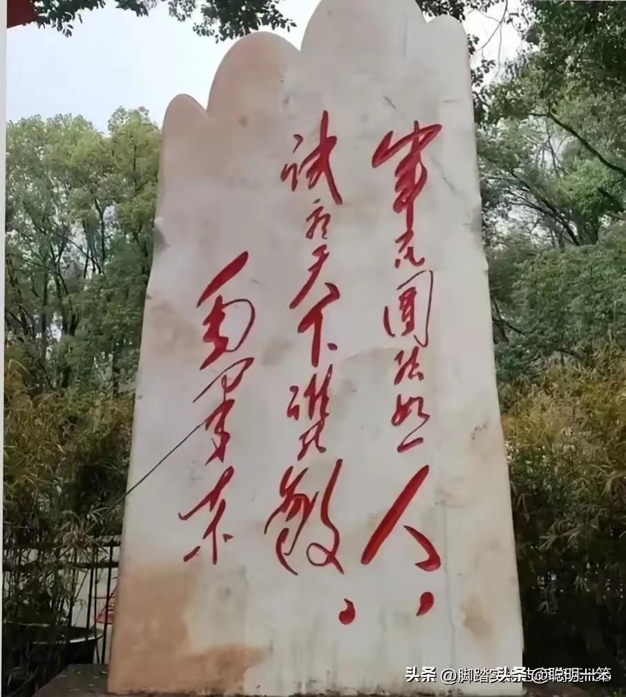 前三十年筑基炼骨，后四十年腾飞长肉。
所有盛世繁华，皆源于当年不求虚名、立足长远