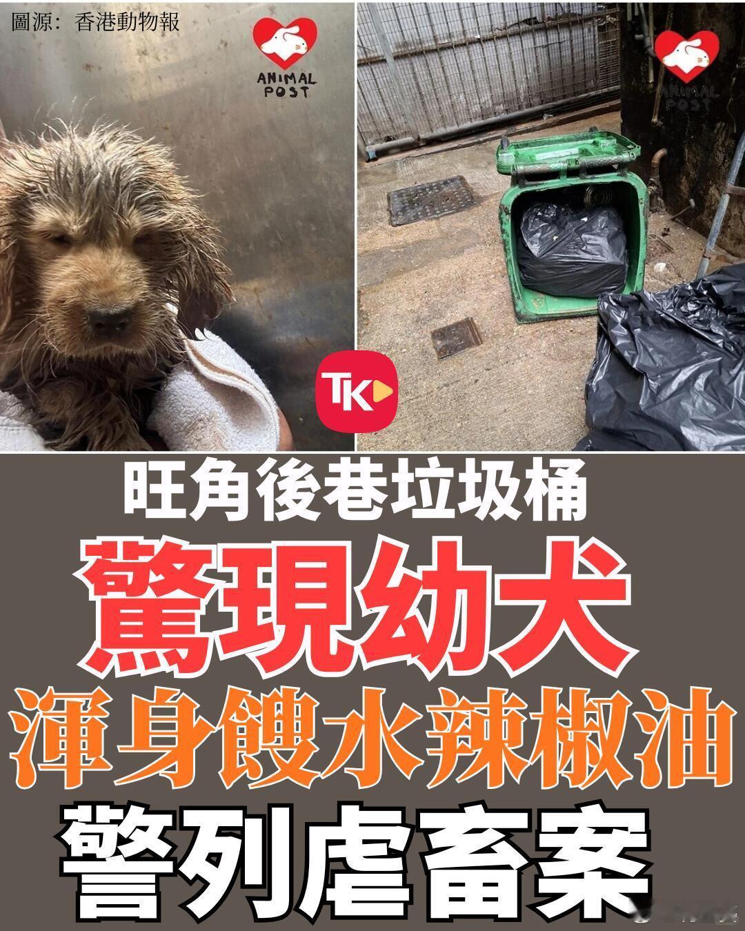 -香港今日（9日）早上约9时，一名清洁工人在该处后巷收集垃圾时，于一个专供餐厅使