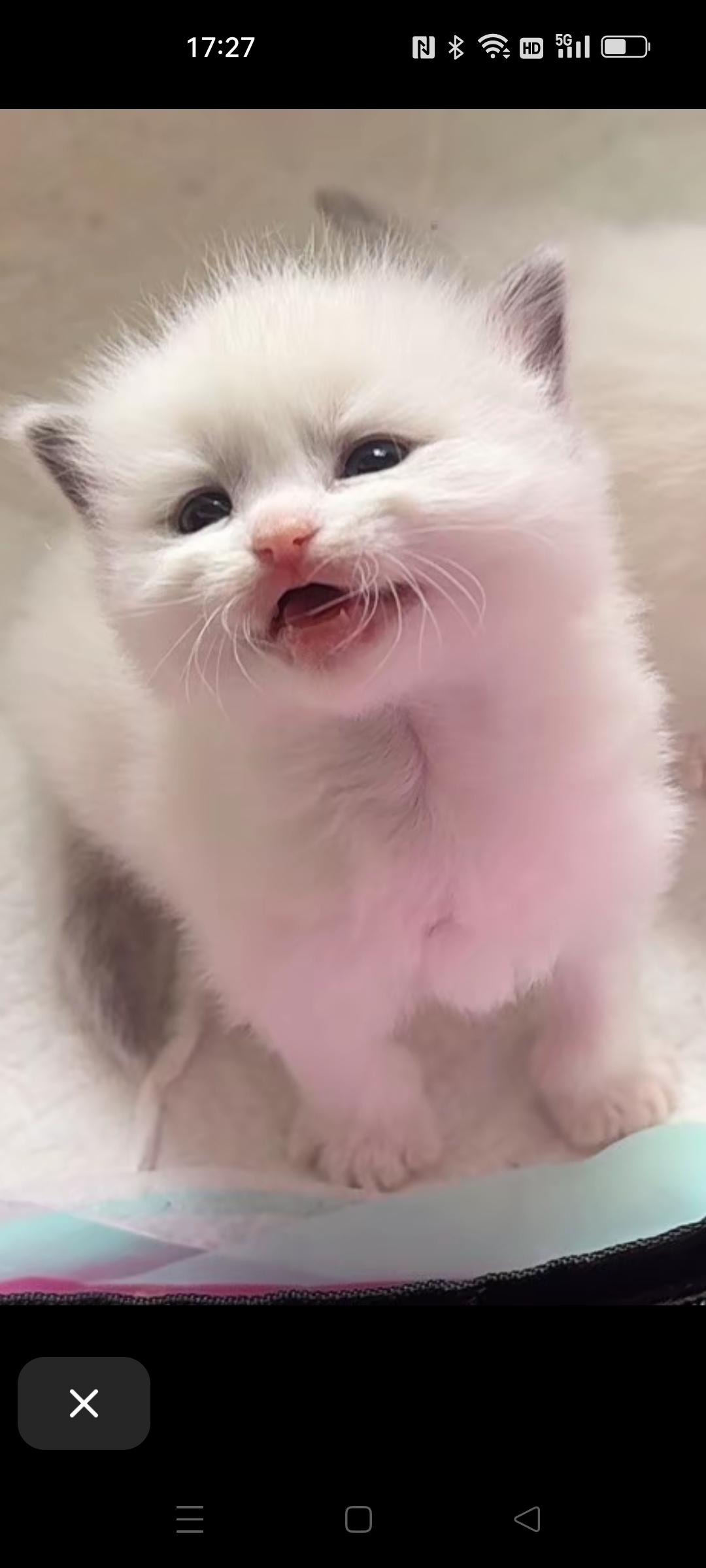 @抖音小助手