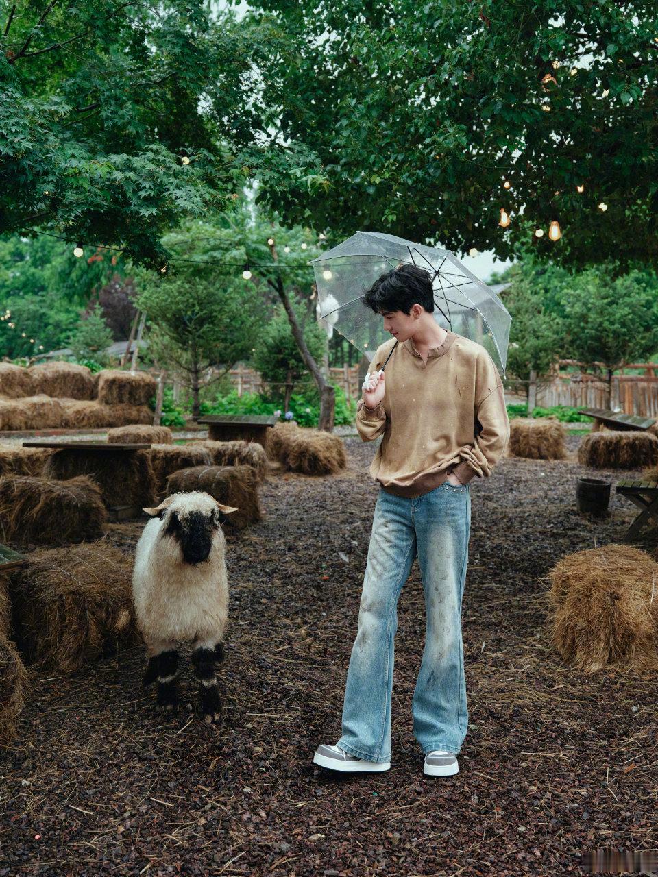 #杨洋烟雨惬意随拍##杨洋偶遇小羊# 偶遇发博的杨洋，打着伞氛围感满满，谁不爱帅