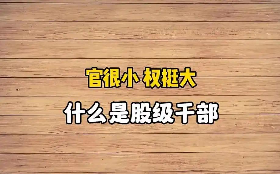 单位分管领导专门找我单独谈话，科室空出一个股级干部空缺，打算优先推荐我顶上，心里