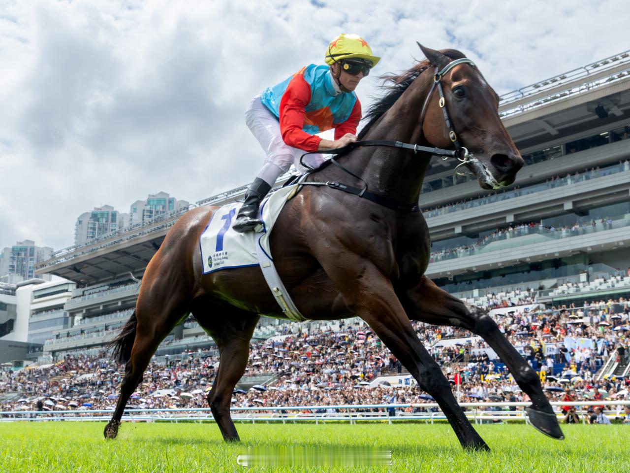 香港最大的慈善机构香港赛马会资本市场财经 「香港新馬季開鑼逾4萬3千人沙田馬場觀