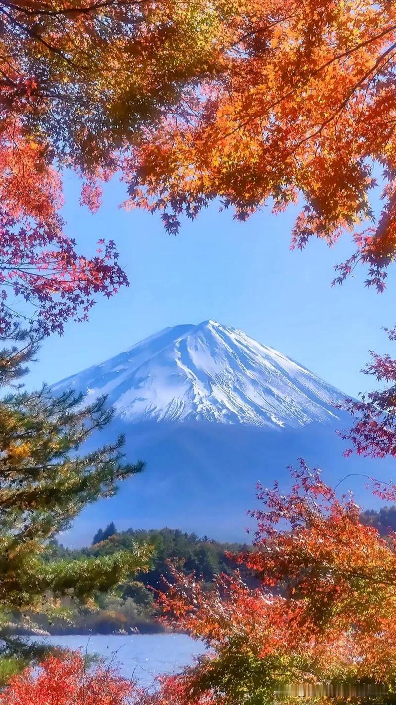 随手一拍风景照。青山绿水，鸟语花香，一片令人陶醉的美丽风光。