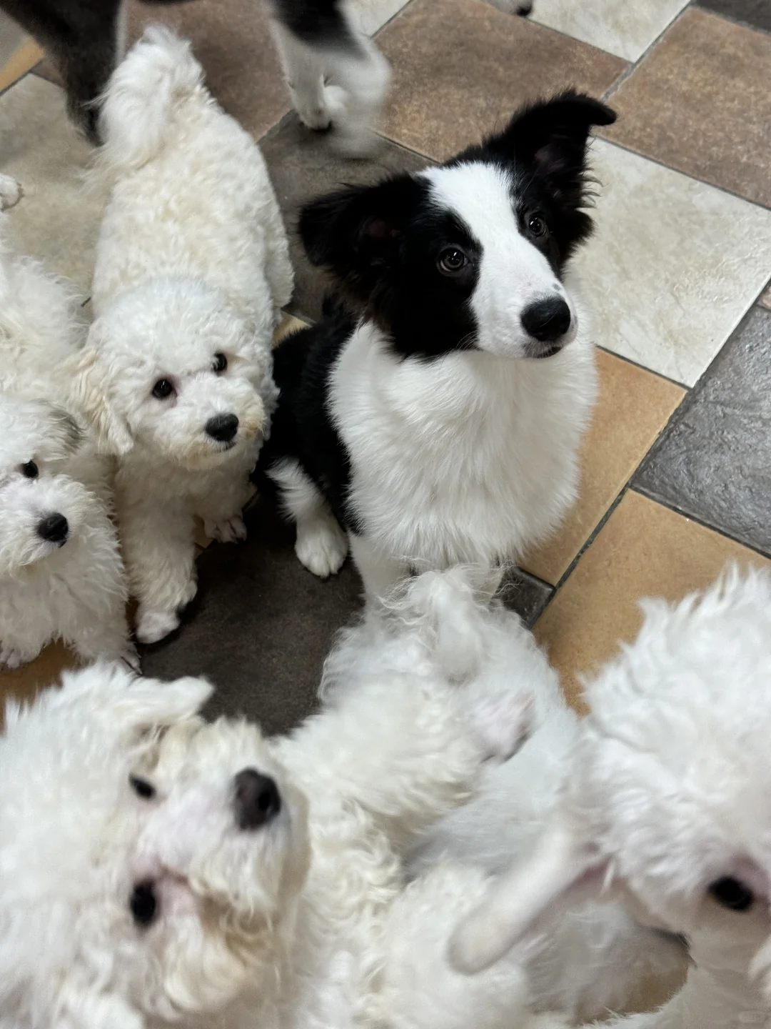 沈阳中街！！！真的好好Rua！！！好好玩！！！