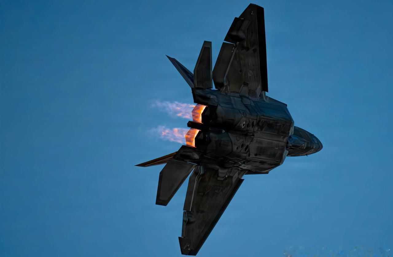 猛禽剪影
1 ​​​