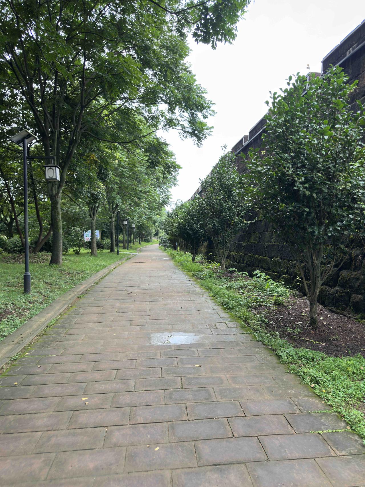 今天7月1日，开启新的一个月，这个月轮到妹妹服侍二老，昨天傍晚就给妹妹发送了一条