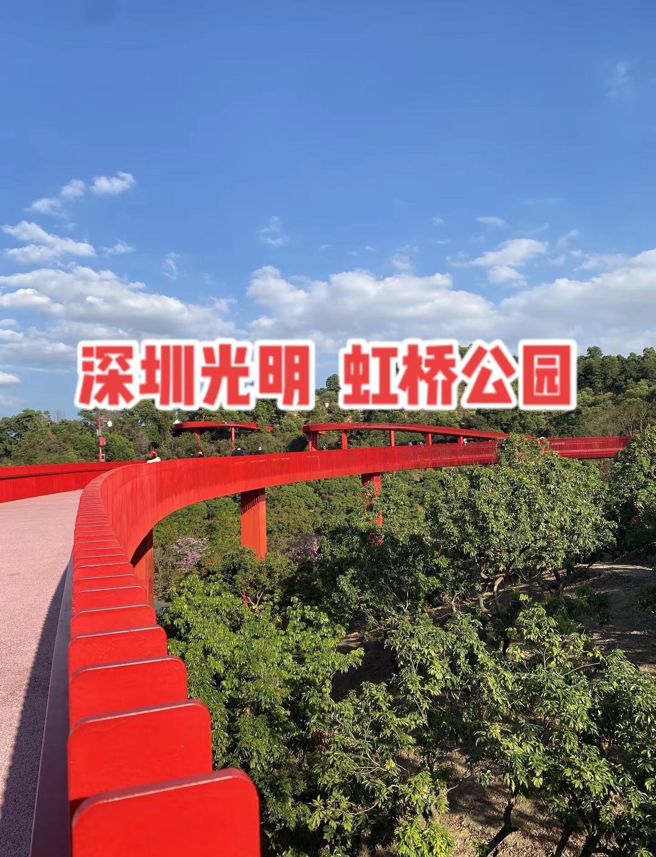 深圳光明虹桥公园红丝带 网红打卡拍照出片。深圳光明的网红景点，新的一年从头走到尾