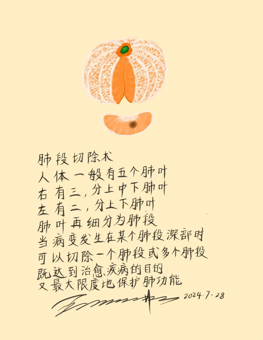 肺段切除术