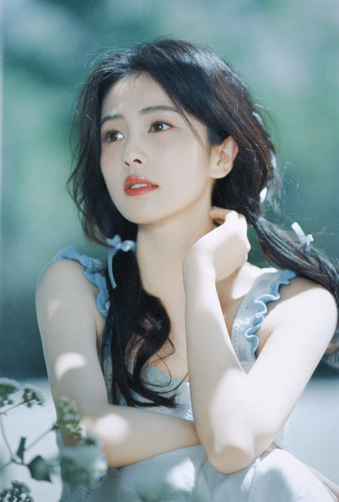 白鹿 壁纸