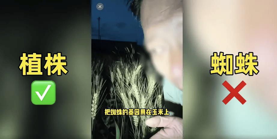 打着“守护老种子”的人设，一位坐拥200万粉丝的农业网红，近期彻底翻车。为了流量