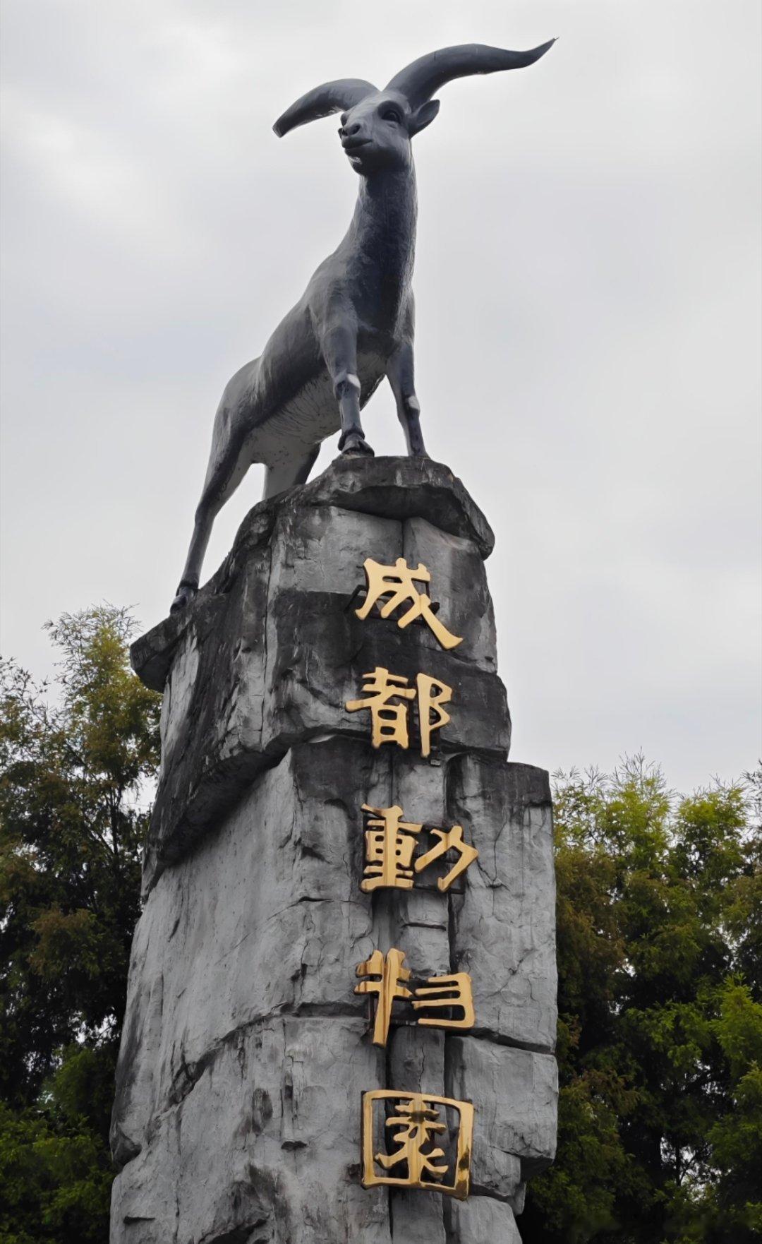 超话创作官 成都动物园大门岩羊雕像经典，耐心寻味从就喜欢成都动物园大门上的岩羊的