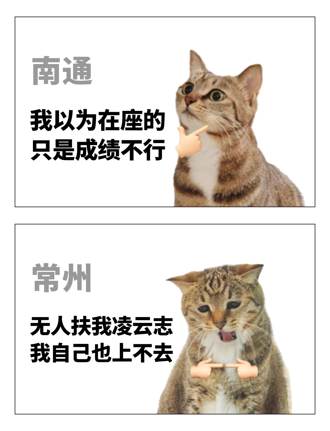 下辈子还要和你们这群有梗的人做网友