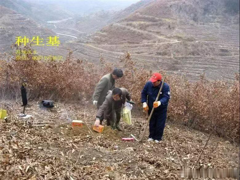 应福主之重托种生基，今择一吉龙吉穴，立正向之癸山丁向，福生无量寿福，福主之福气，